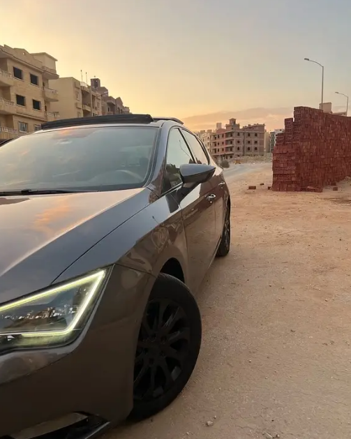 سيات ليون 2015