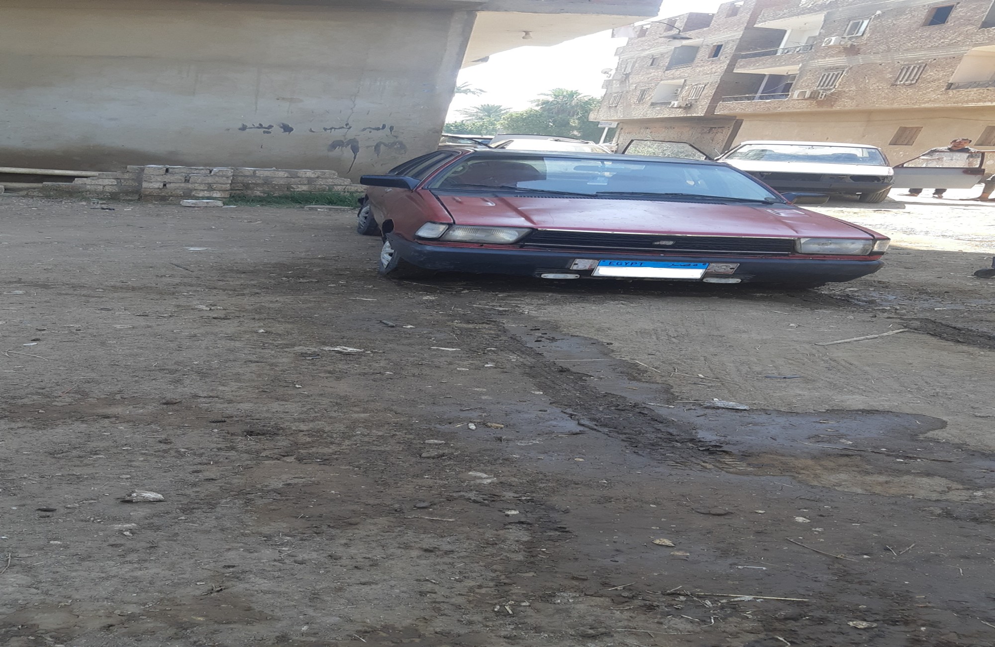 هوندا