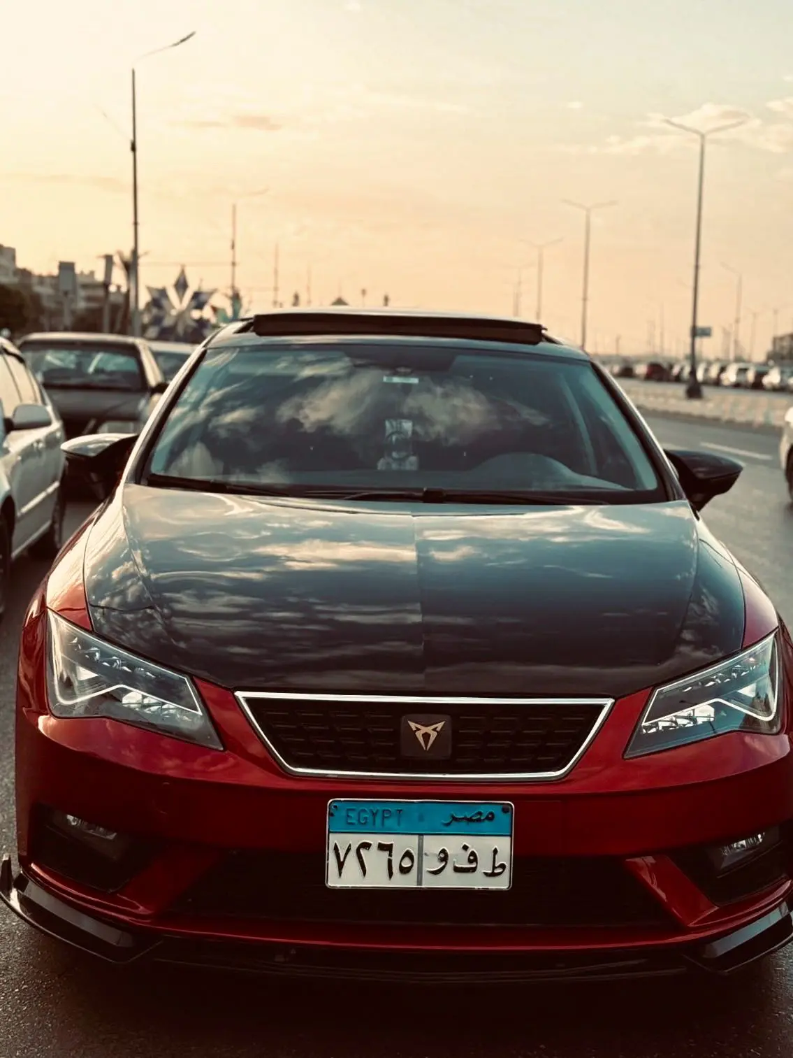 سيات ليون 2018